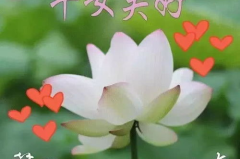 秋天祝福语简短一句话,温馨祝福传递