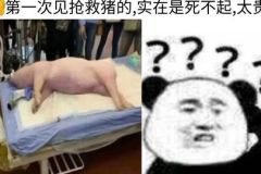 网络搞笑沙雕图片,笑料横生，欢乐无限