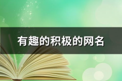 有趣的网名大全,创意无限，个性飞扬