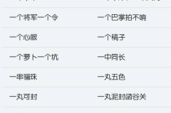 二开头的成语有哪些,二开头的成语汇编