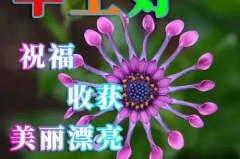 2020年早上好高清图片,高清图片中的美好时光”