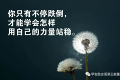 正能量鼓励学生的语录,共筑梦想——正能量语录助力学生成长